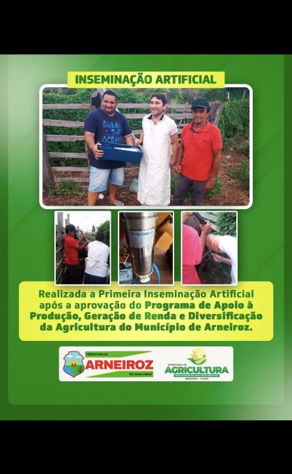 O Município de Arneiroz, realiza a primeira inseminação artificial em Bovinos.